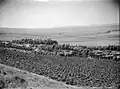 Ein Harod 1930