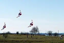 Kite flying at the park