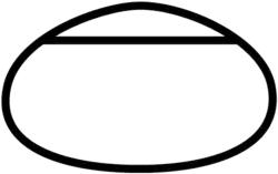 Layout of Chicagoland Speedway