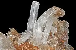 Gypsum flowers, Bou Azer East deposit, Bou Azer District, Tazenakht, Ouarzazate Province, Souss-Massa-Draâ Region, Morocco