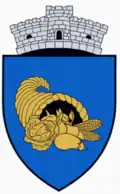 Coat of arms of Rădești