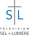 Logo used in French programming, Télévision Sel + Lumière